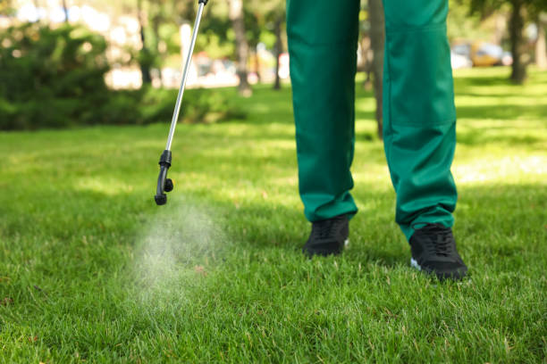 Best Rodent Control Near Me  in Edinburg, TX