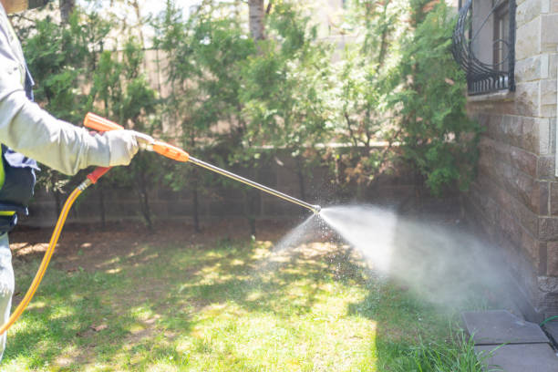 Best Rat Extermination Near Me  in Edinburg, TX