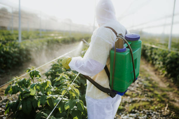 Best Emergency Pest Control  in Edinburg, TX